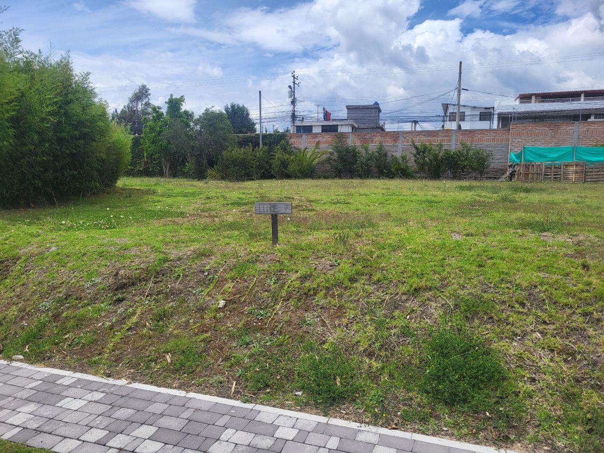 Urbanizacion Amany Puembo — imagen 10