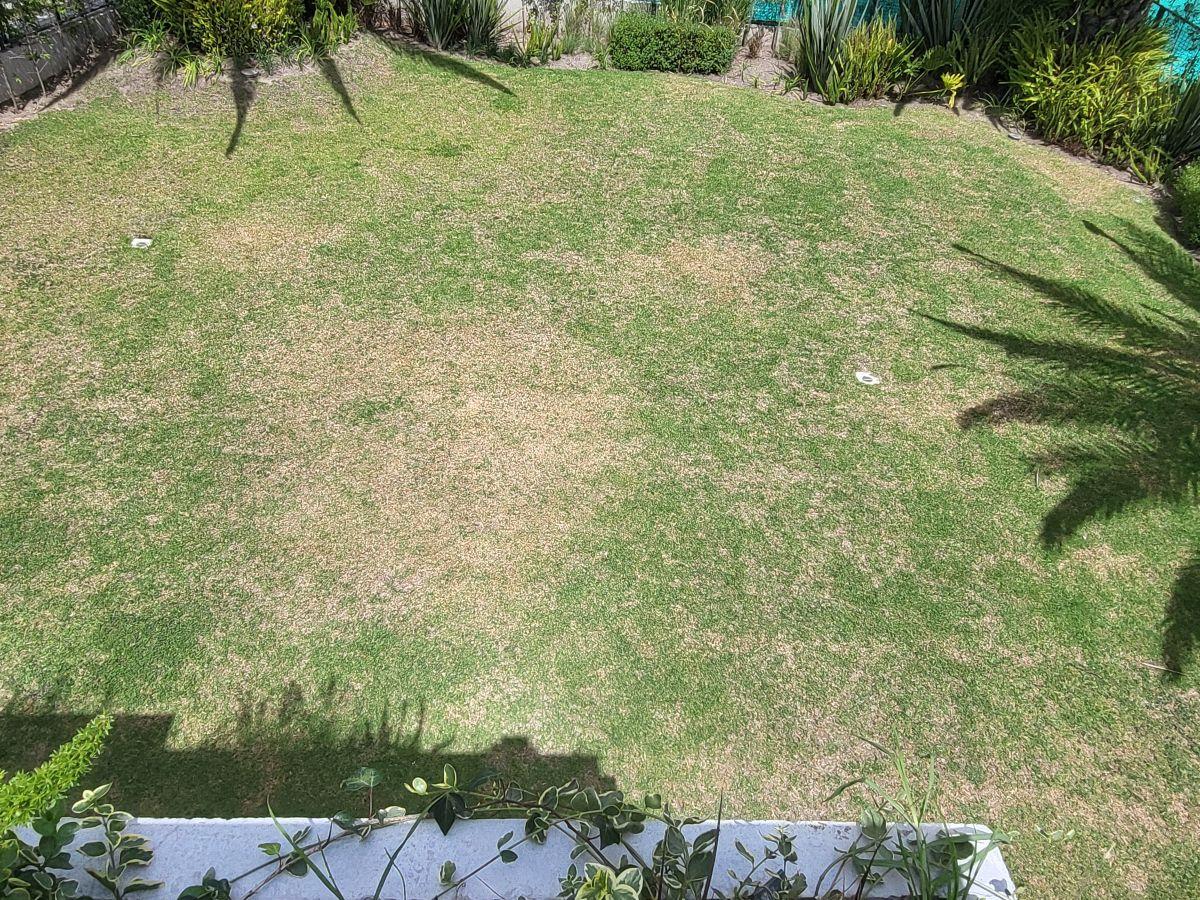 Urbanizacion Amany Puembo — imagen 5