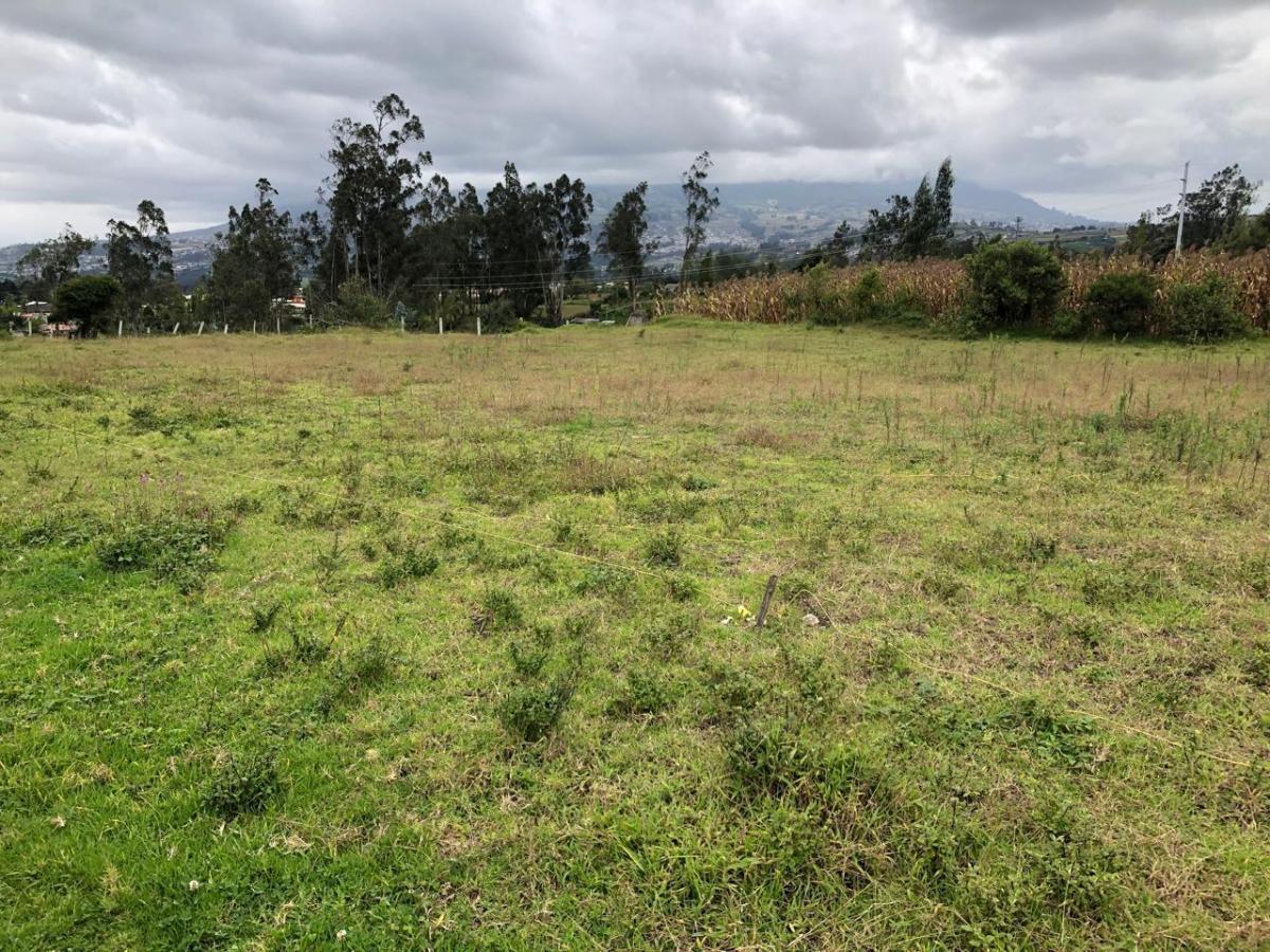 En Venta Bonito Lote de Terreno en Cotacachi, Imbabura — imagen 5