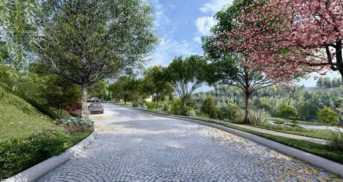 Venta Terreno Dentro de Urbanización La Viña — imagen 3