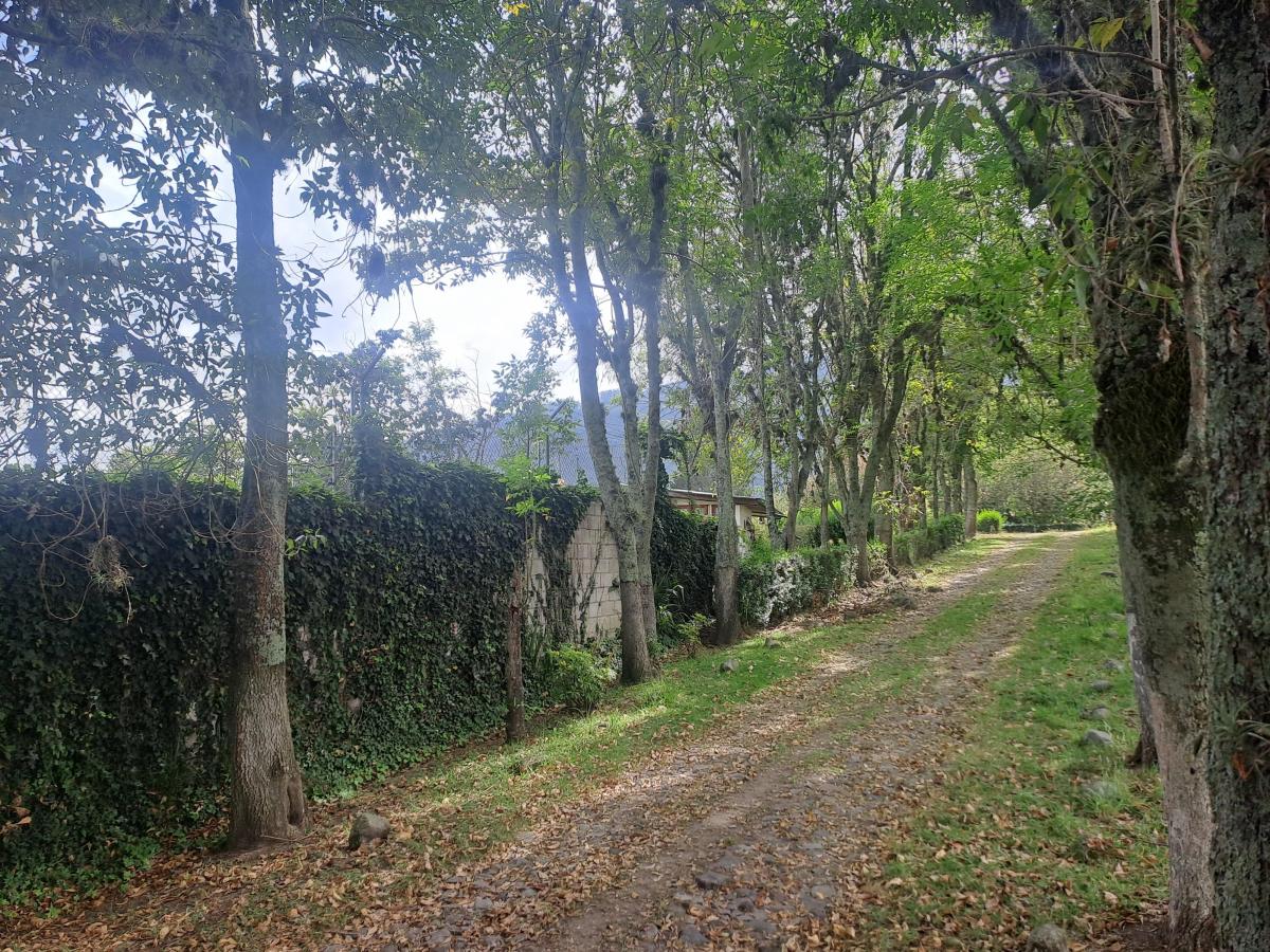 Terreno en Venta Sector Alangasi — imagen 10