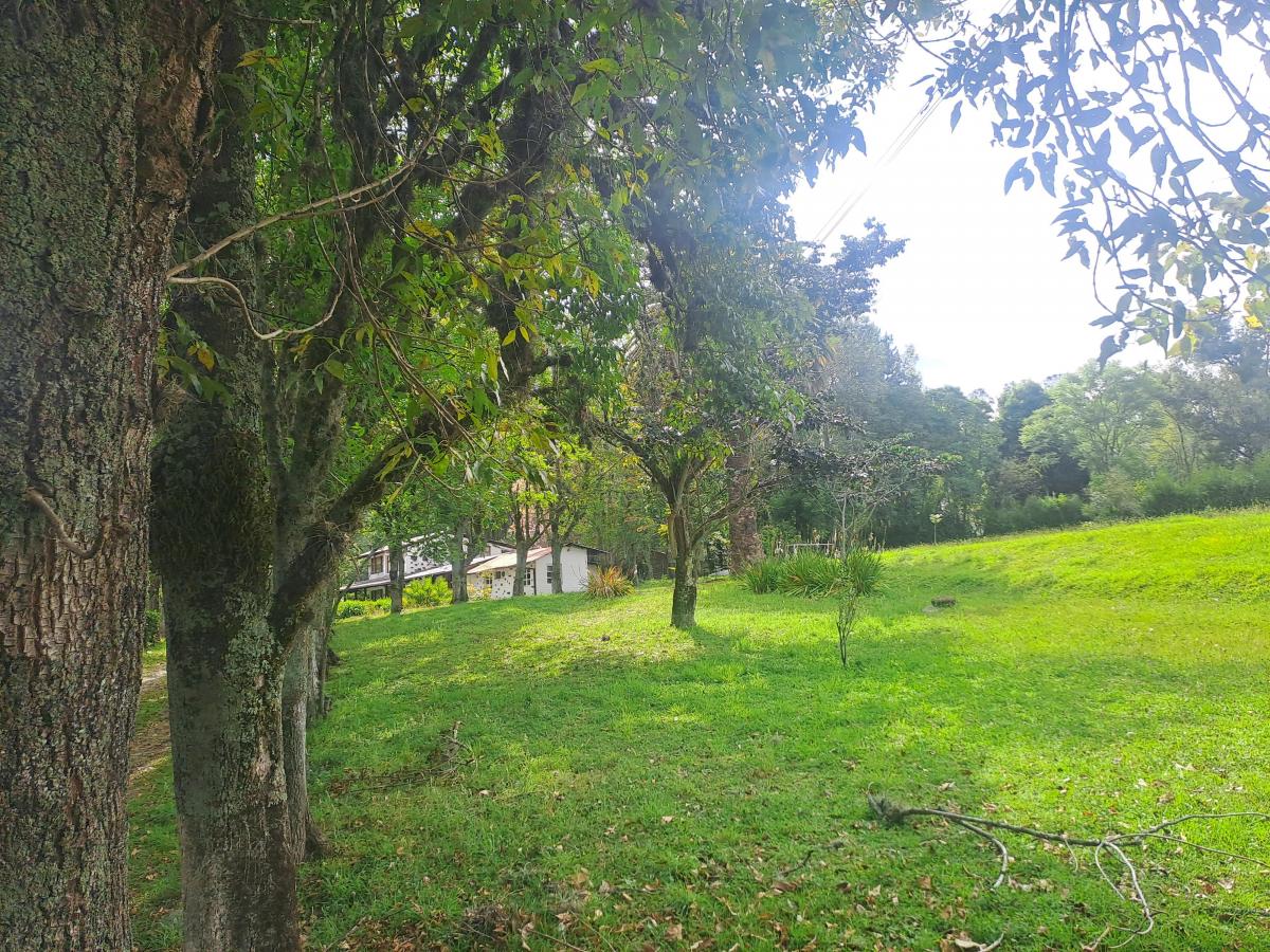 Terreno en Venta Sector Alangasi — imagen 8