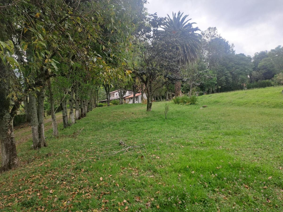Terreno en Venta Sector Alangasi — imagen 7