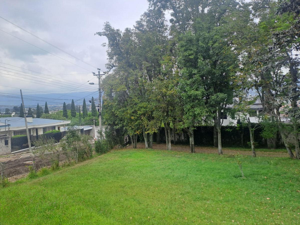 Terreno en Venta Sector Alangasi — imagen 5