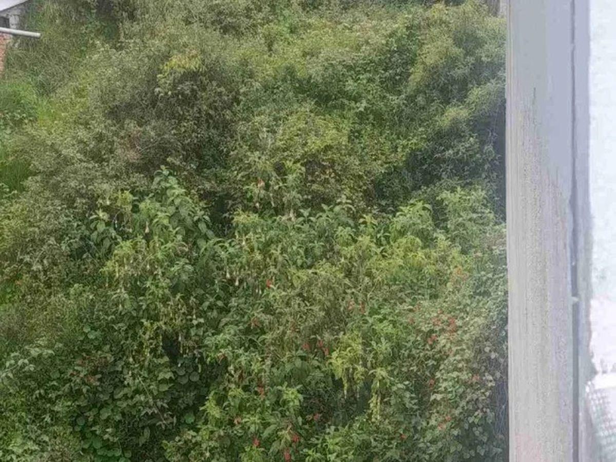Terreno de 470 m² en Venta en La Gasca — imagen 4