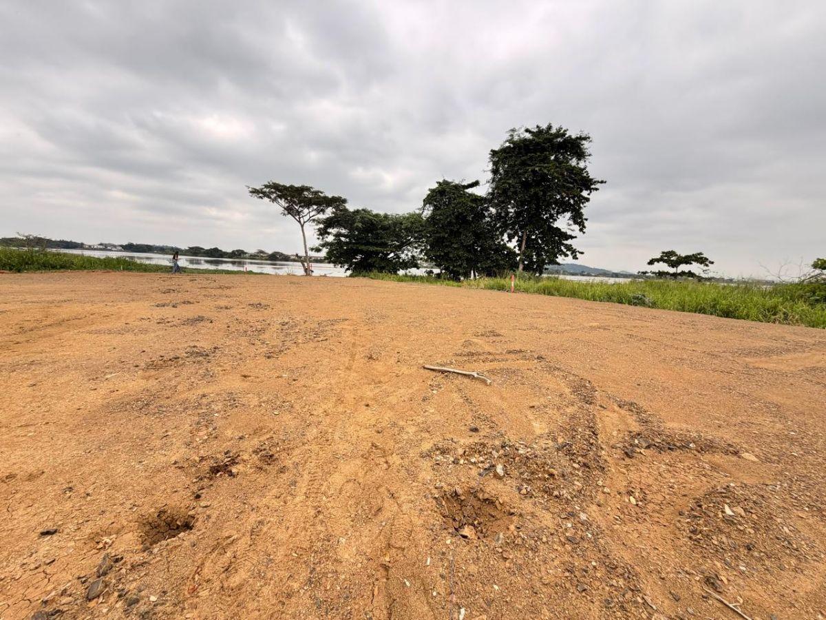 16.406 m² Macrolote en Venta Para Desarrollo Inmobiliario, Av León Febres Cordero, Sector La Aurora, Guayas — imagen 8