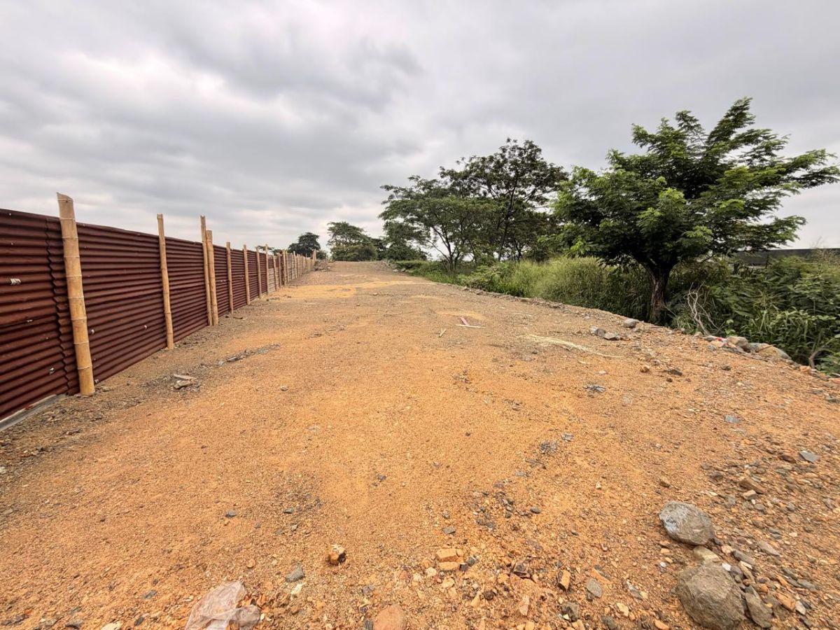 16.406 m² Macrolote en Venta Para Desarrollo Inmobiliario, Av León Febres Cordero, Sector La Aurora, Guayas — imagen 7