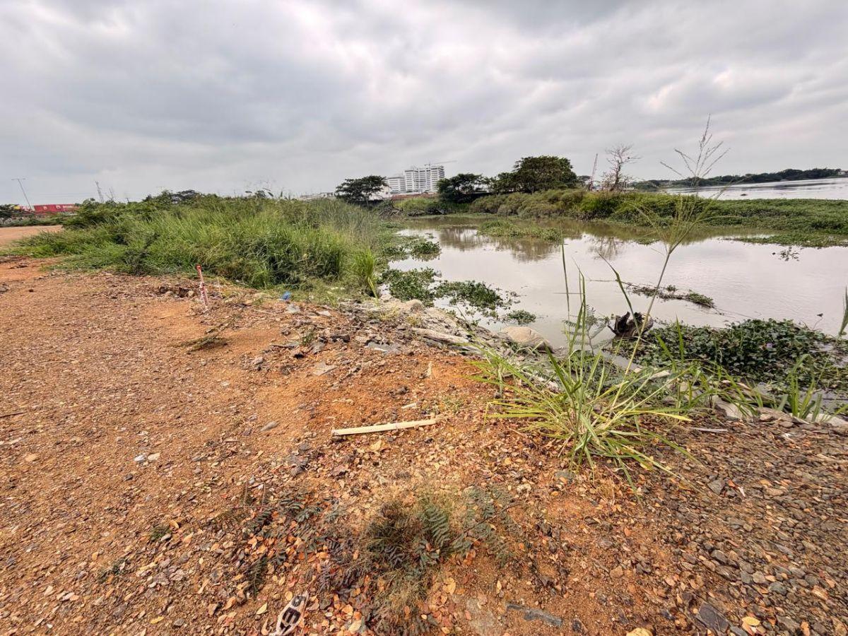 16.406 m² Macrolote en Venta Para Desarrollo Inmobiliario, Av León Febres Cordero, Sector La Aurora, Guayas — imagen 6