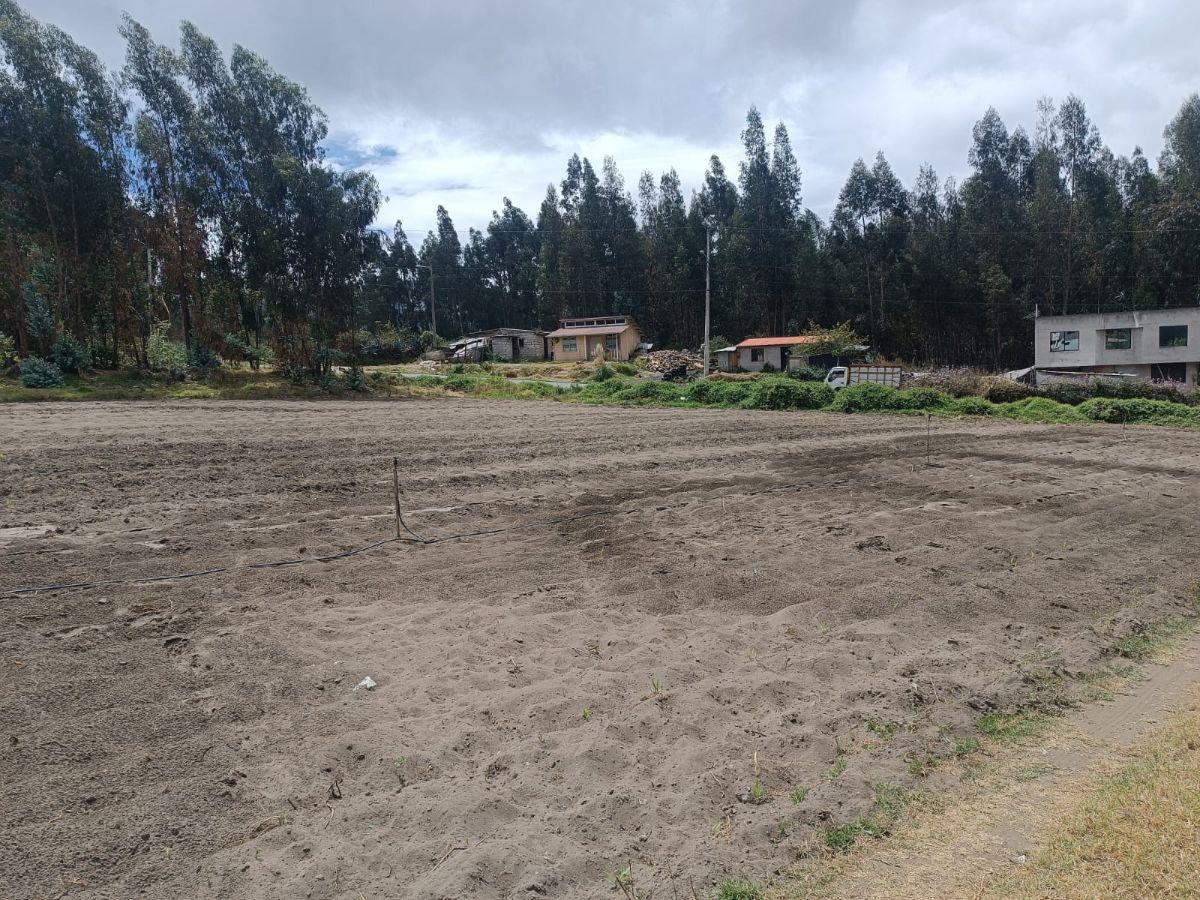 Terreno de 4.312 m² en Venta en El Norte de Guano, Chimborazo — imagen 4
