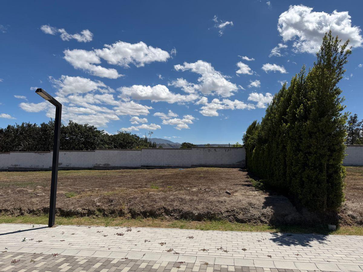 Terreno de 1070 m² en Venta en Puembo — imagen 7