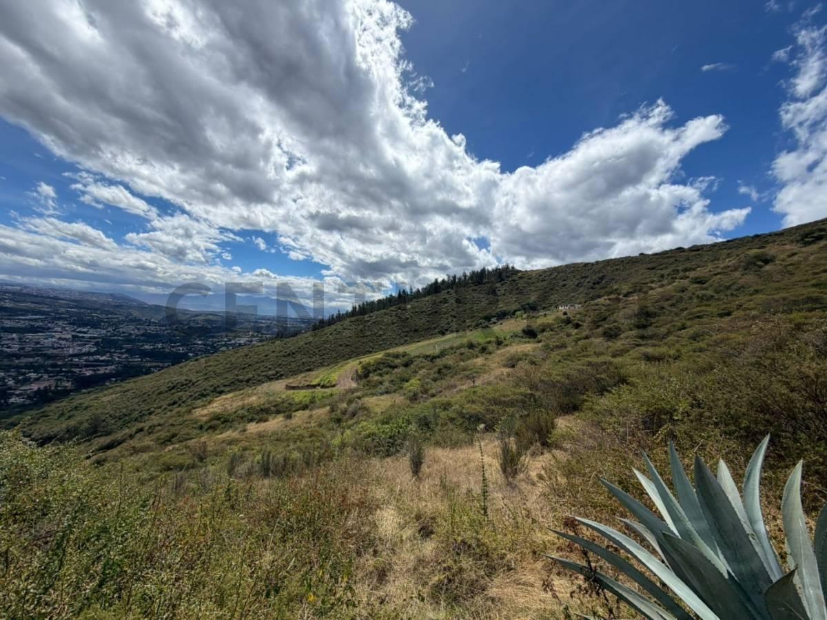 En Venta Terreno 10.000 m². Sector Intervalles — imagen 6