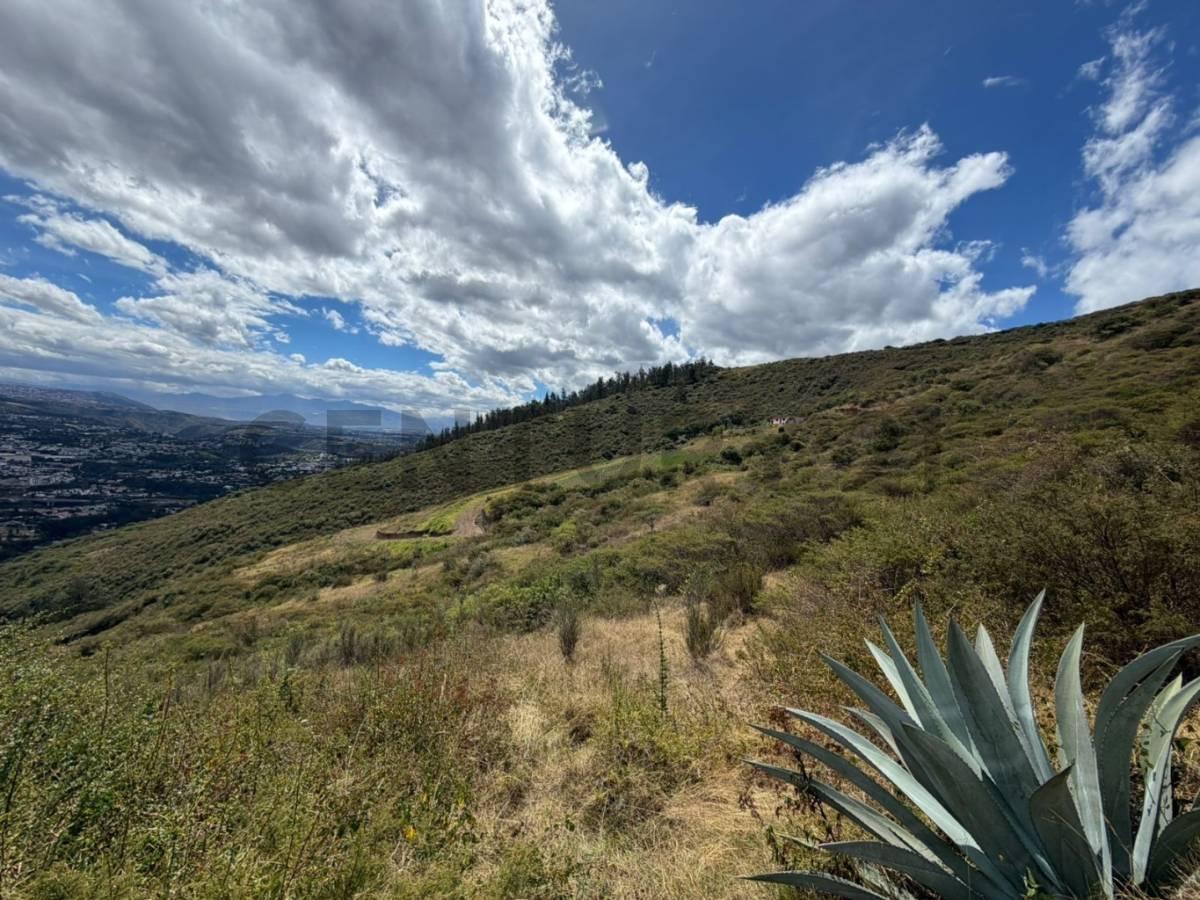 En Venta Terreno 10.000 m². Sector Intervalles — imagen 4