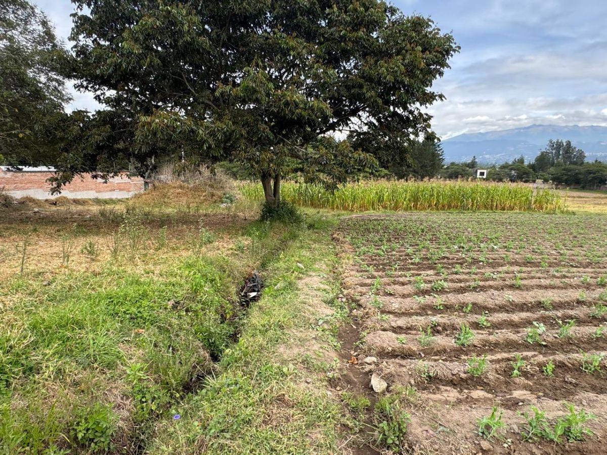 Vendo Terreno en Puembo, 4.458 m², Excelente Ubicación, Zona de Alta Plusvalia, Vía Arrayanes! — imagen 10