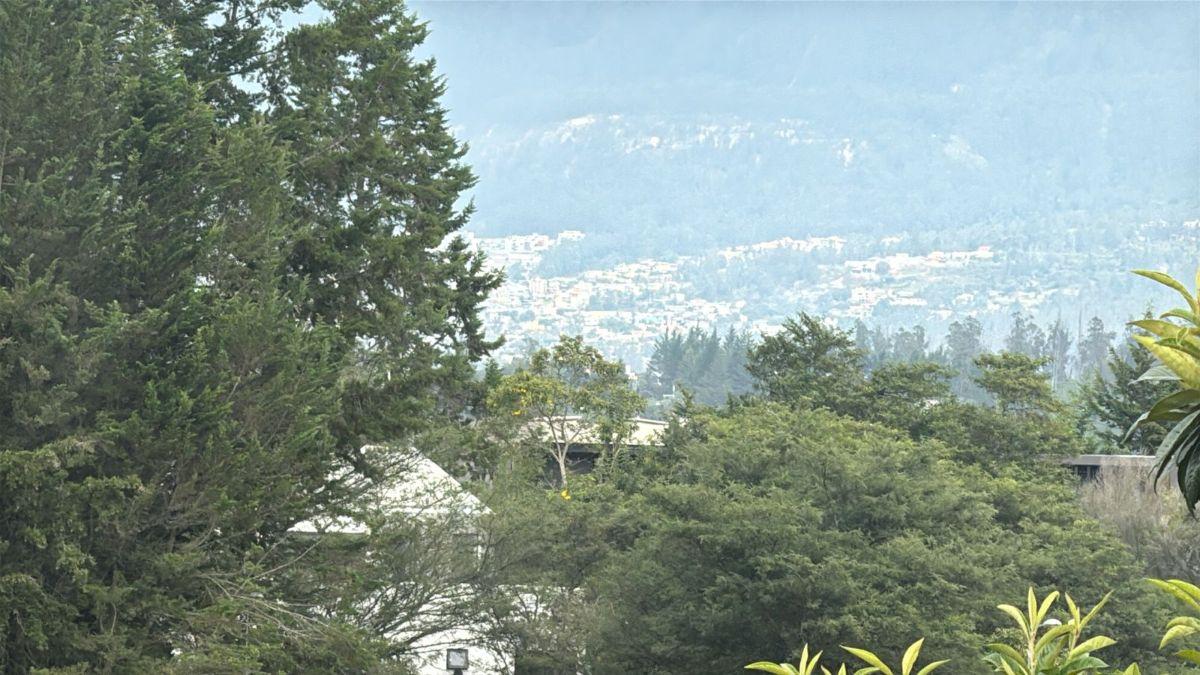 Vendo Terreno en Puembo, 4.458 m², Excelente Ubicación, Zona de Alta Plusvalia, Vía Arrayanes! — imagen 9