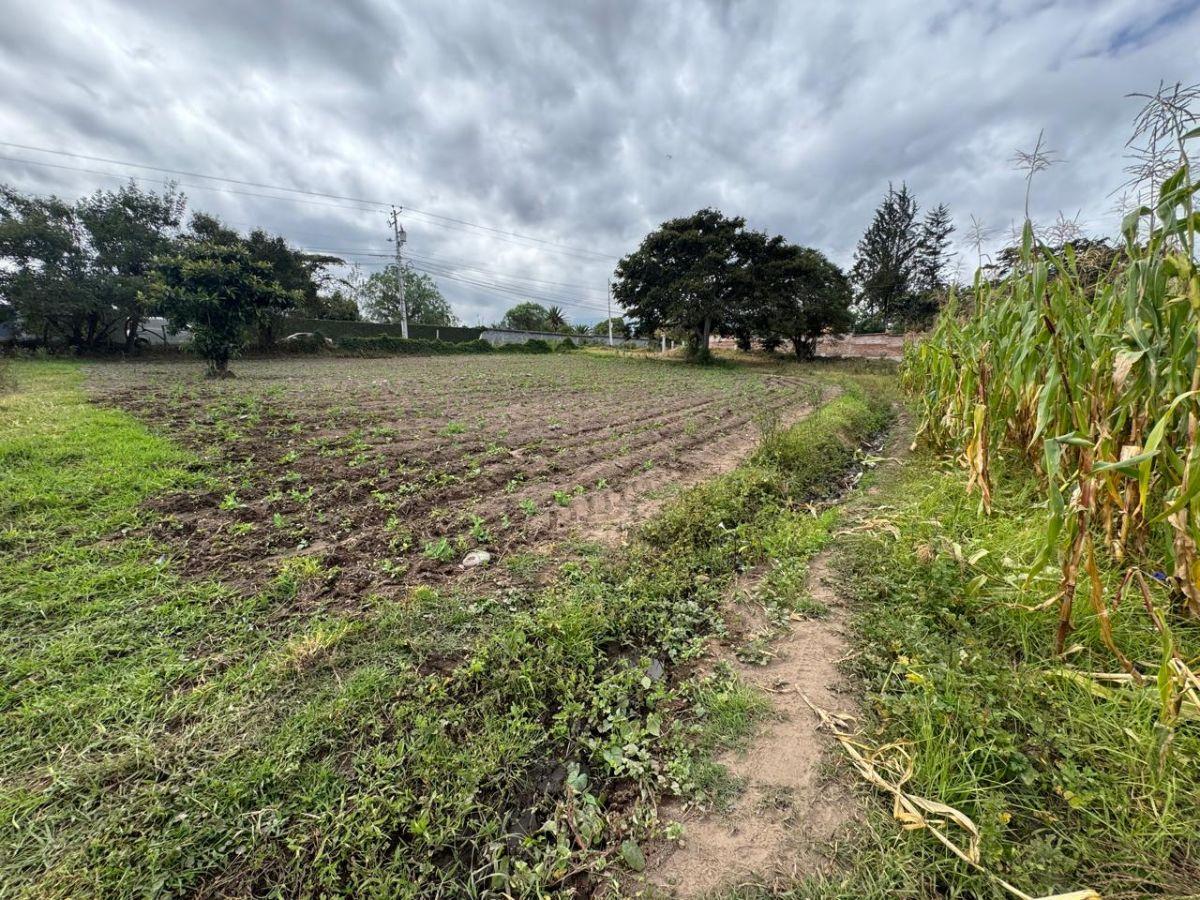 Vendo Terreno en Puembo, 4.458 m², Excelente Ubicación, Zona de Alta Plusvalia, Vía Arrayanes! — imagen 8