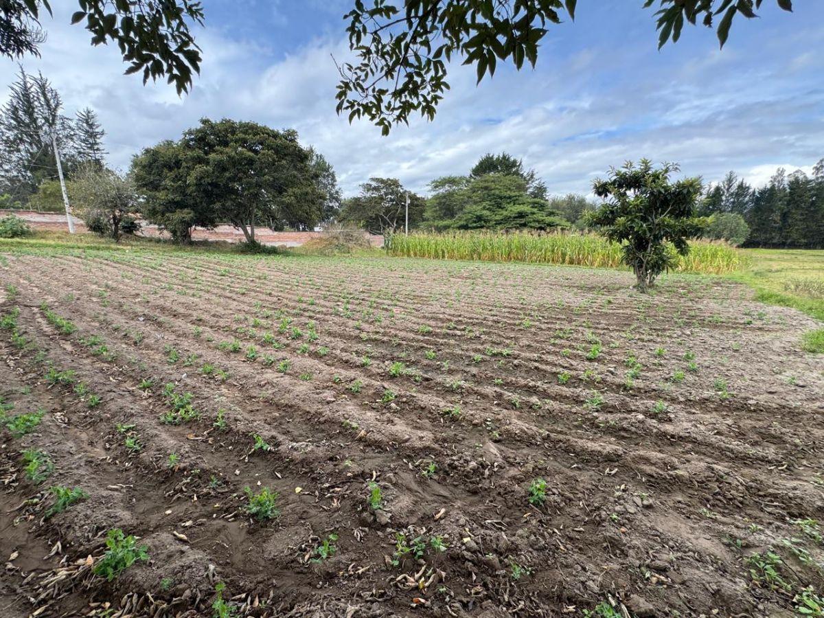 Vendo Terreno en Puembo, 4.458 m², Excelente Ubicación, Zona de Alta Plusvalia, Vía Arrayanes! — imagen 7