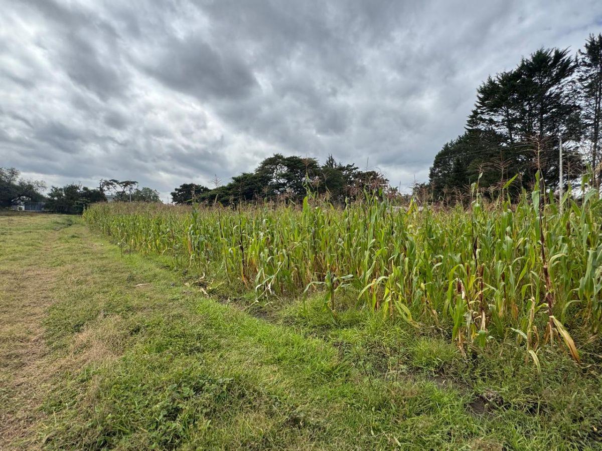 Vendo Terreno en Puembo, 4.458 m², Excelente Ubicación, Zona de Alta Plusvalia, Vía Arrayanes! — imagen 6