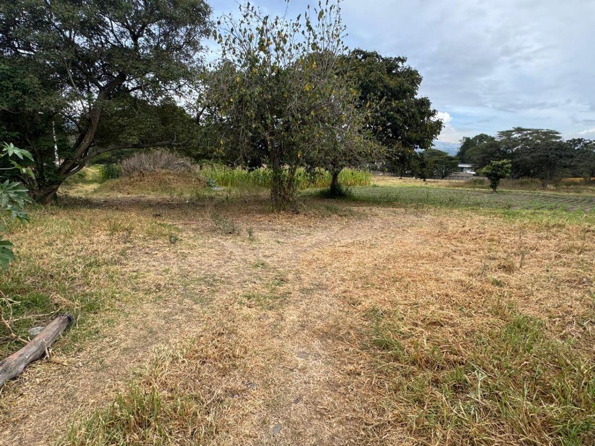 Vendo Terreno en Puembo, 4.458 m², Excelente Ubicación, Zona de Alta Plusvalia, Vía Arrayanes! — imagen 5