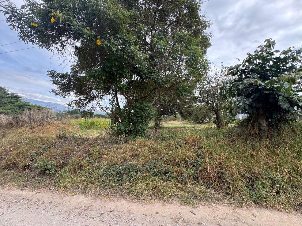 Vendo Terreno en Puembo, 4.458 m², Excelente Ubicación, Zona de Alta Plusvalia, Vía Arrayanes! — imagen 4