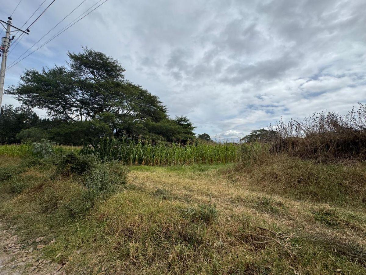 Vendo Terreno en Puembo, 4.458 m², Excelente Ubicación, Zona de Alta Plusvalia, Vía Arrayanes! — imagen 3