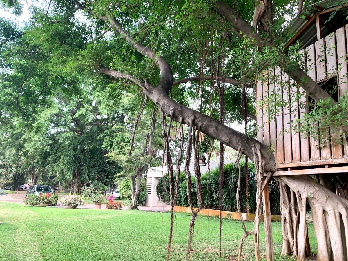 Vendo Terreno Via Samborondon Frente Río Daule con Lagos, Ideal Desarrollo Urbanístico, Guayas — imagen 6