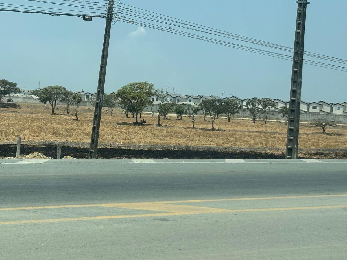 Vendo Terreno Via Salitre 46.124 m² Comercial Residencial - 266 m Frente Via, por Urb Los Prados, Guayas — imagen 4
