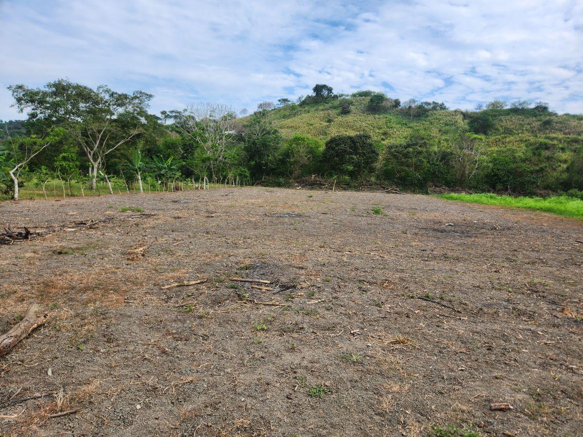 Lotes Varios en La Vía a San Vicente de Loja, Olon — imagen 7