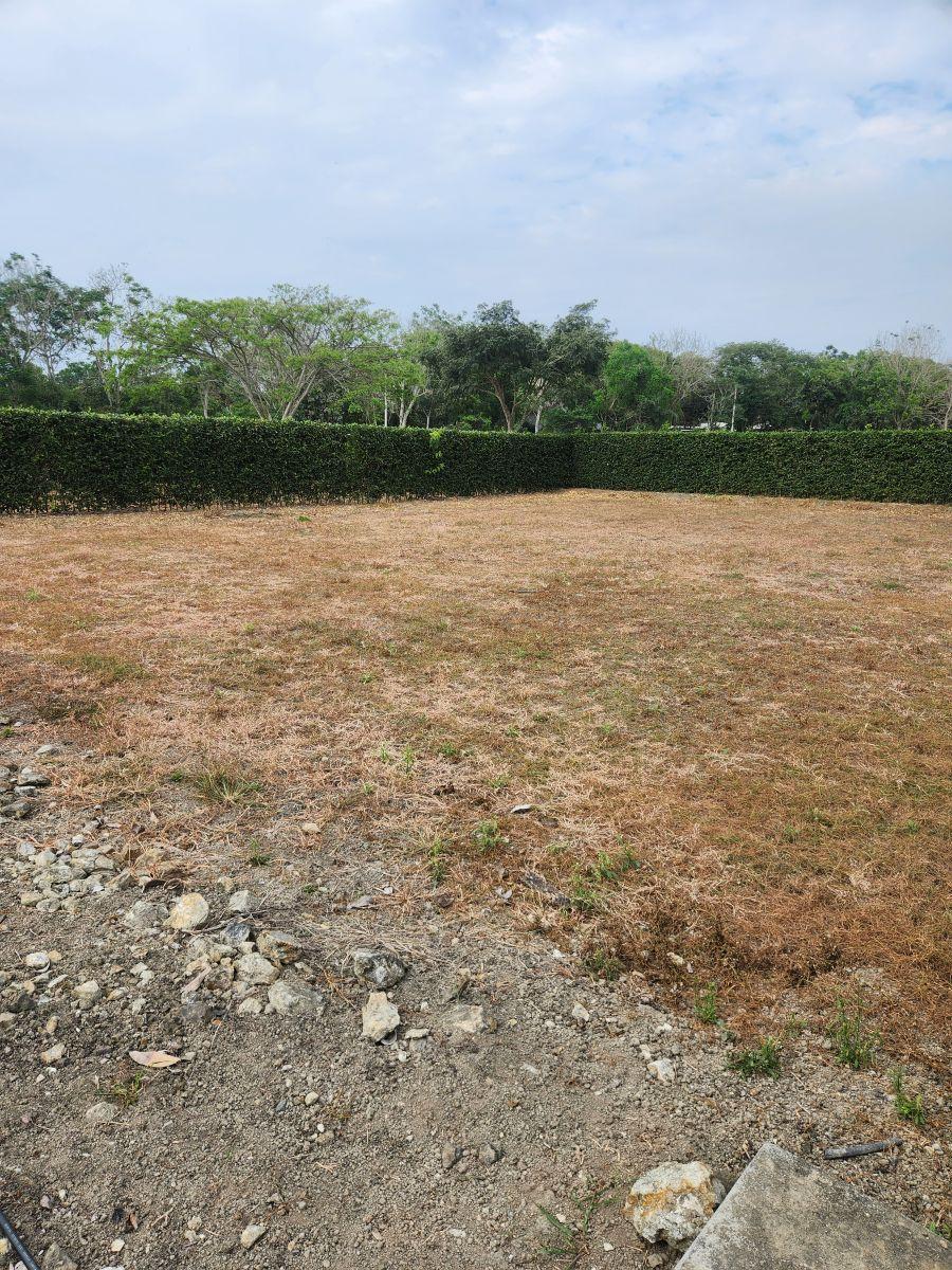 Lotes Varios en La Vía a San Vicente de Loja, Olon — imagen 3