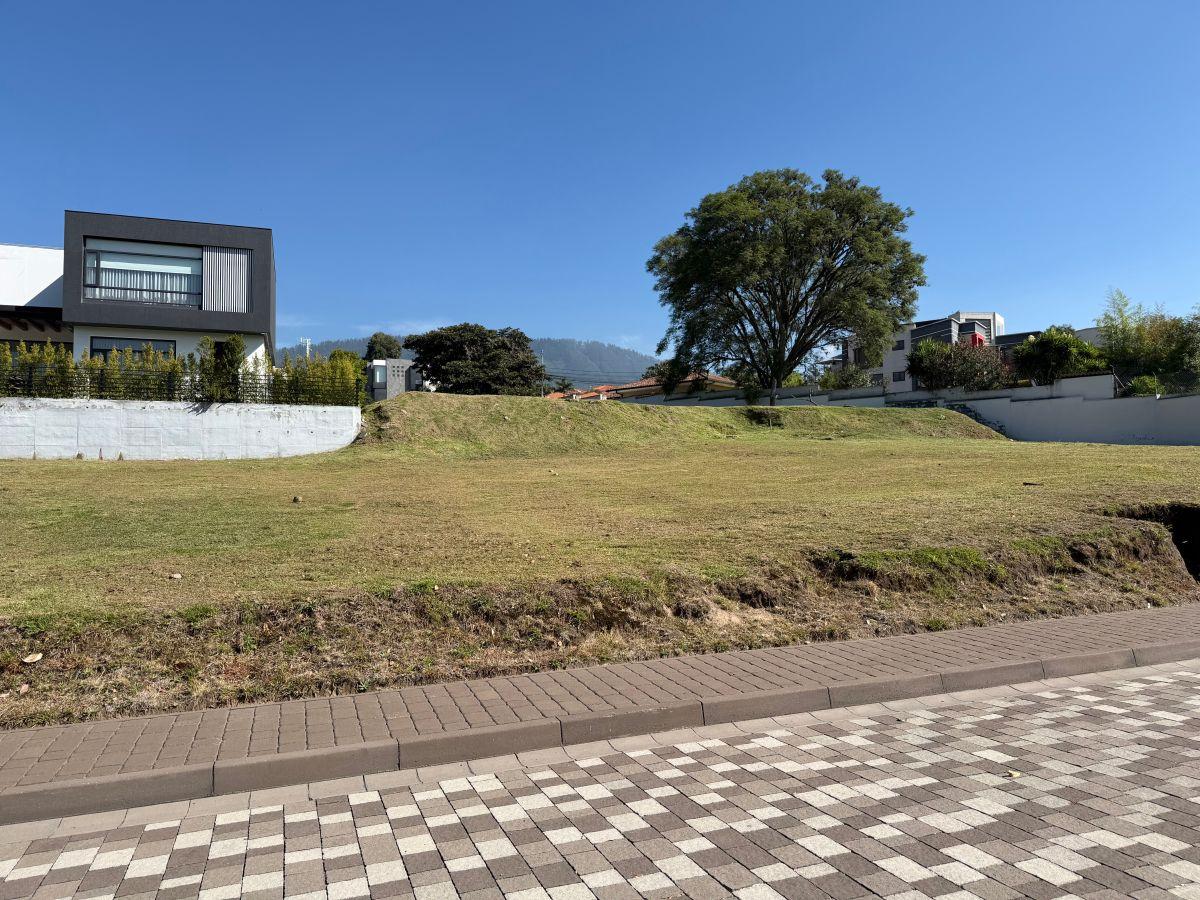 Terreno de 611 m² en Venta en Cumbayá con Áreas Verdes — imagen 6