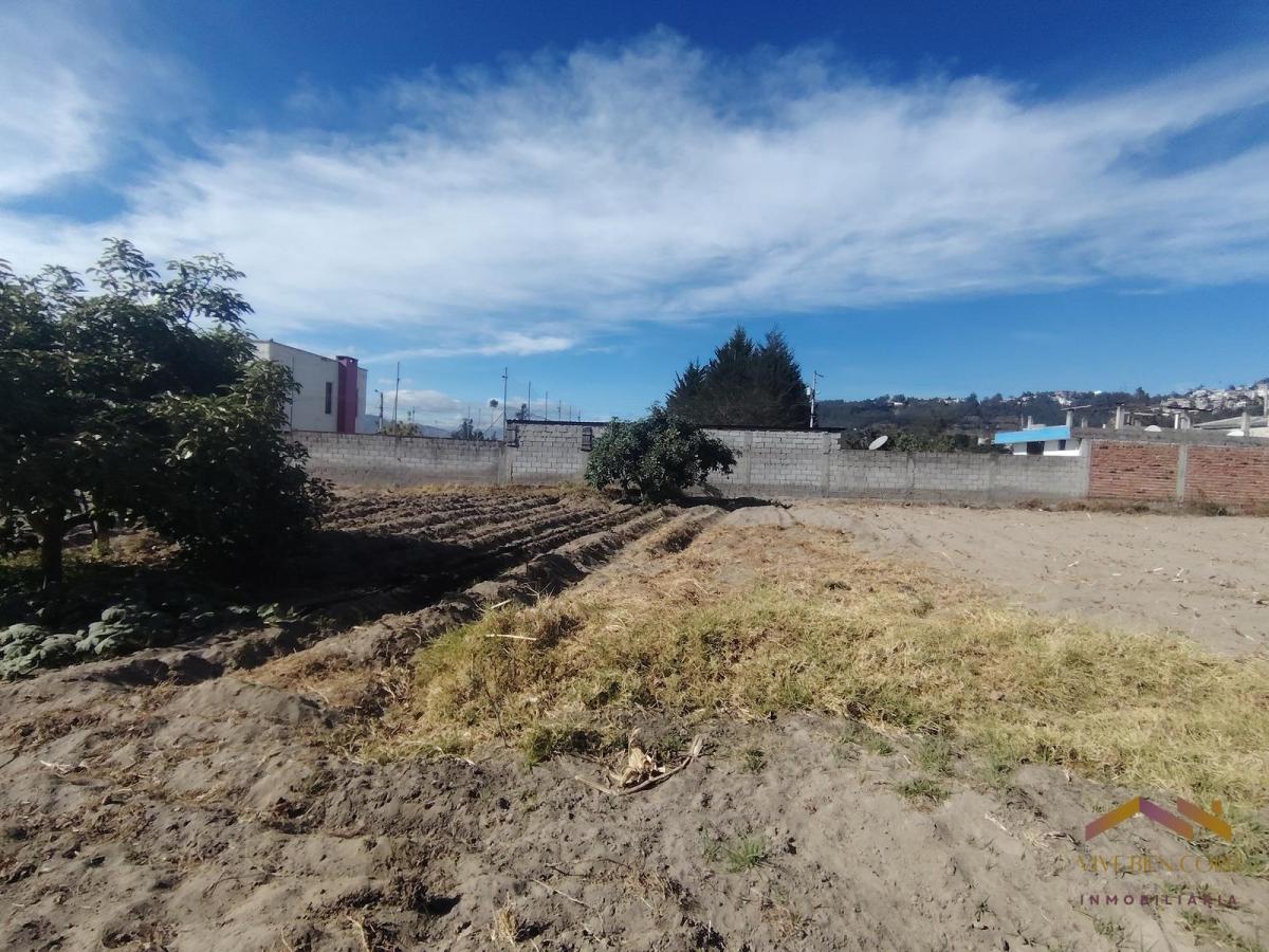 Renta Terreno 1400 m² - Gualo — imagen 9