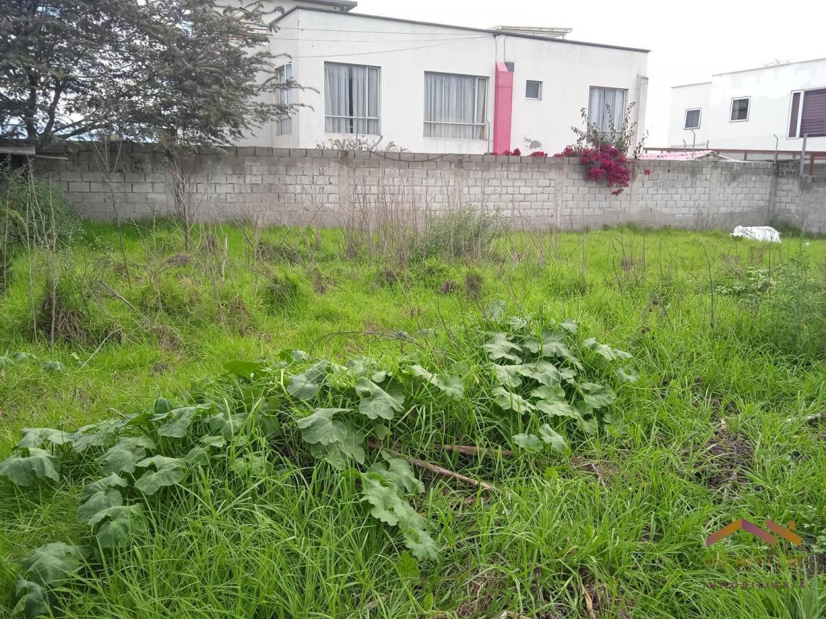 Renta Terreno 1400 m² - Gualo — imagen 4