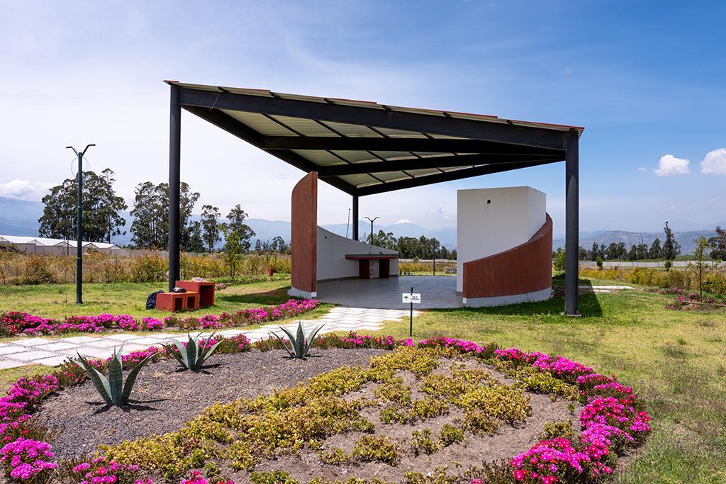 Lotes de Terreno en Malchingui Urbanización Paseo de Los Algarrobos — imagen 10