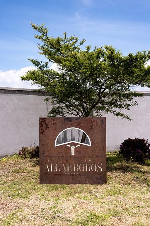 Lotes de Terreno en Malchingui Urbanización Paseo de Los Algarrobos — imagen 8