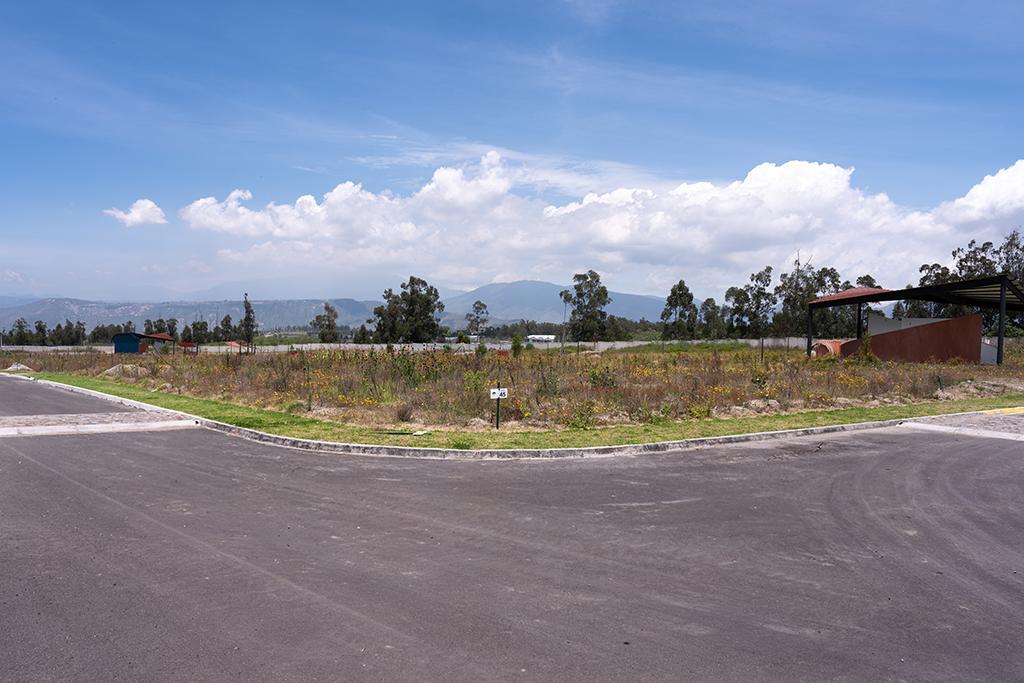 Lotes de Terreno en Malchingui Urbanización Paseo de Los Algarrobos — imagen 6
