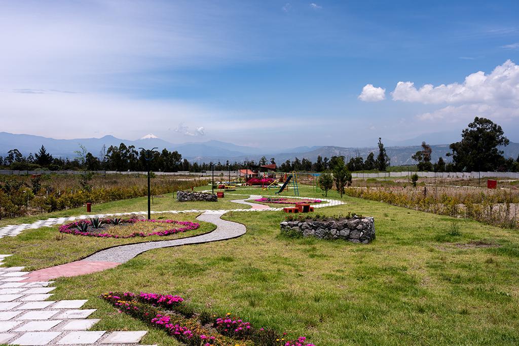 Lotes de Terreno en Malchingui Urbanización Paseo de Los Algarrobos — imagen 5