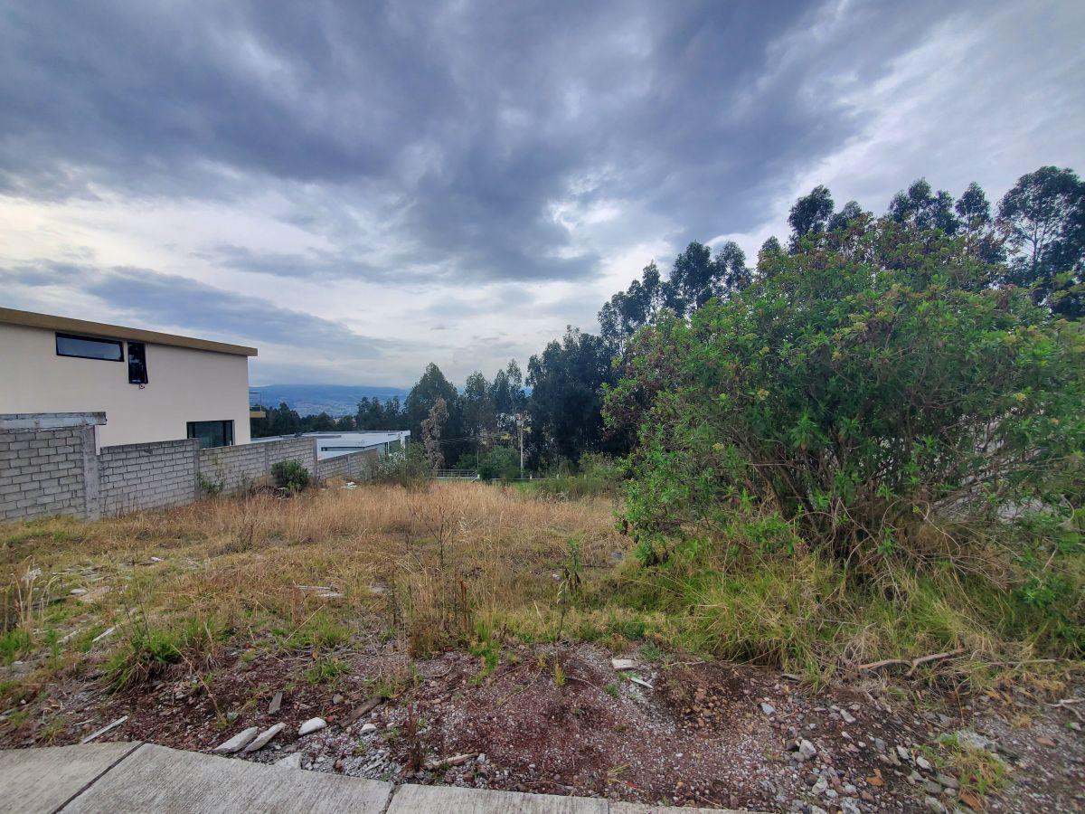 Terreno de Venta con Planos Aprobados Urb. Privada Cashapamba — imagen 6