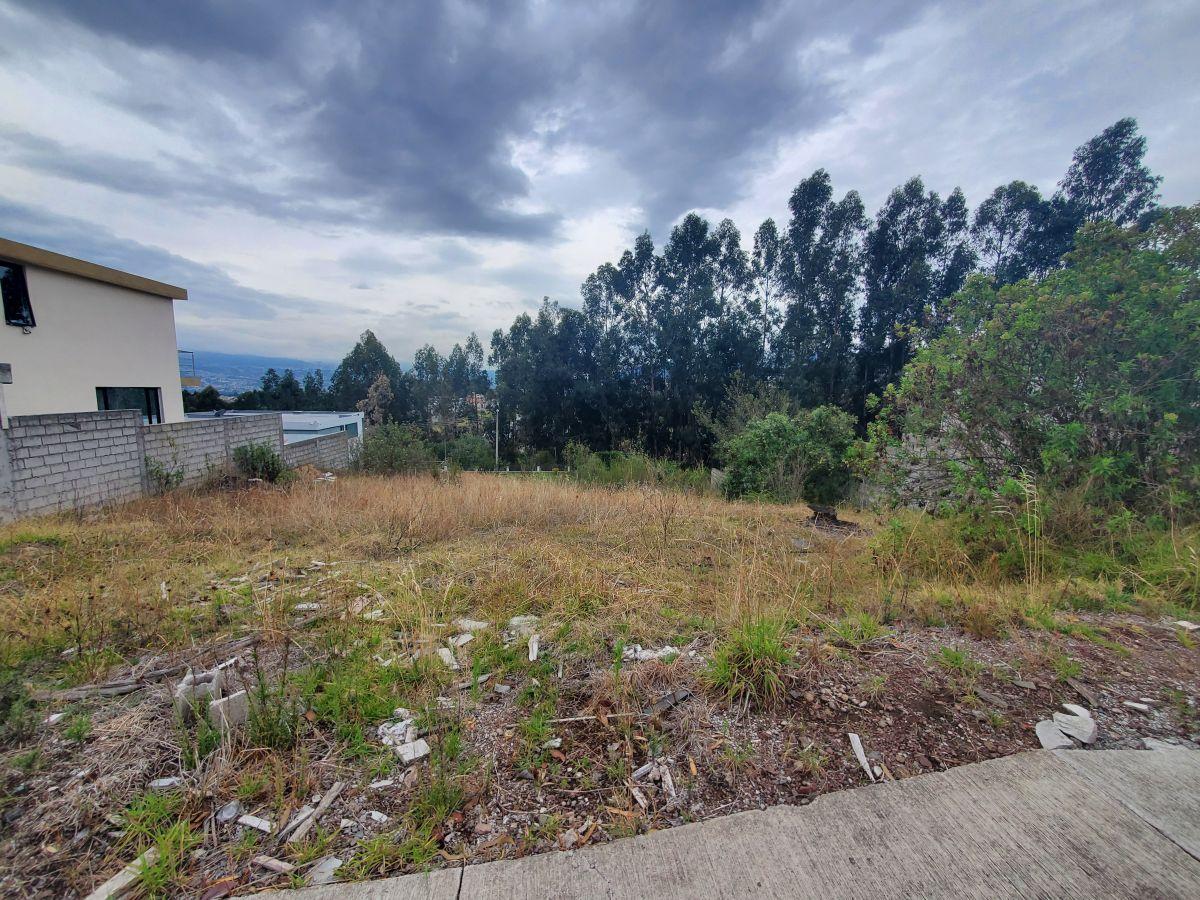 Terreno de Venta con Planos Aprobados Urb. Privada Cashapamba — imagen 5