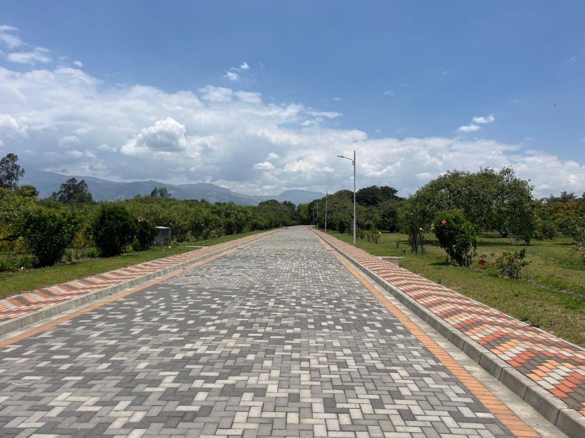 Lote en Venta de 1.425 m² en El Mejor Sector de Puembo en Urbanización — imagen 9