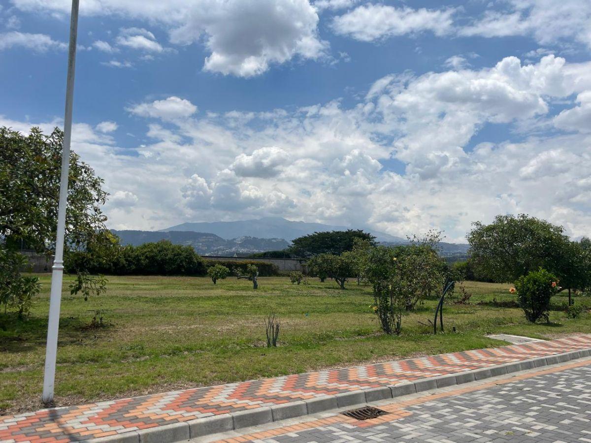 Lote en Venta de 1.425 m² en El Mejor Sector de Puembo en Urbanización — imagen 8