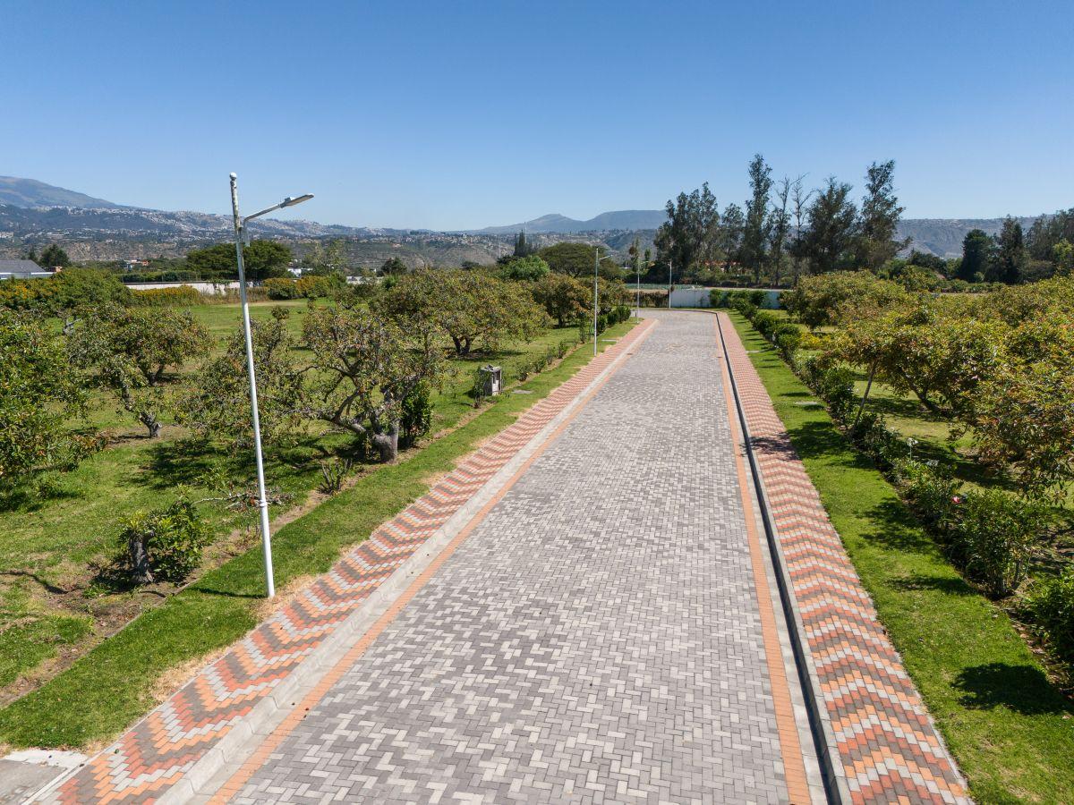Lote en Venta de 1.425 m² en El Mejor Sector de Puembo en Urbanización — imagen 3