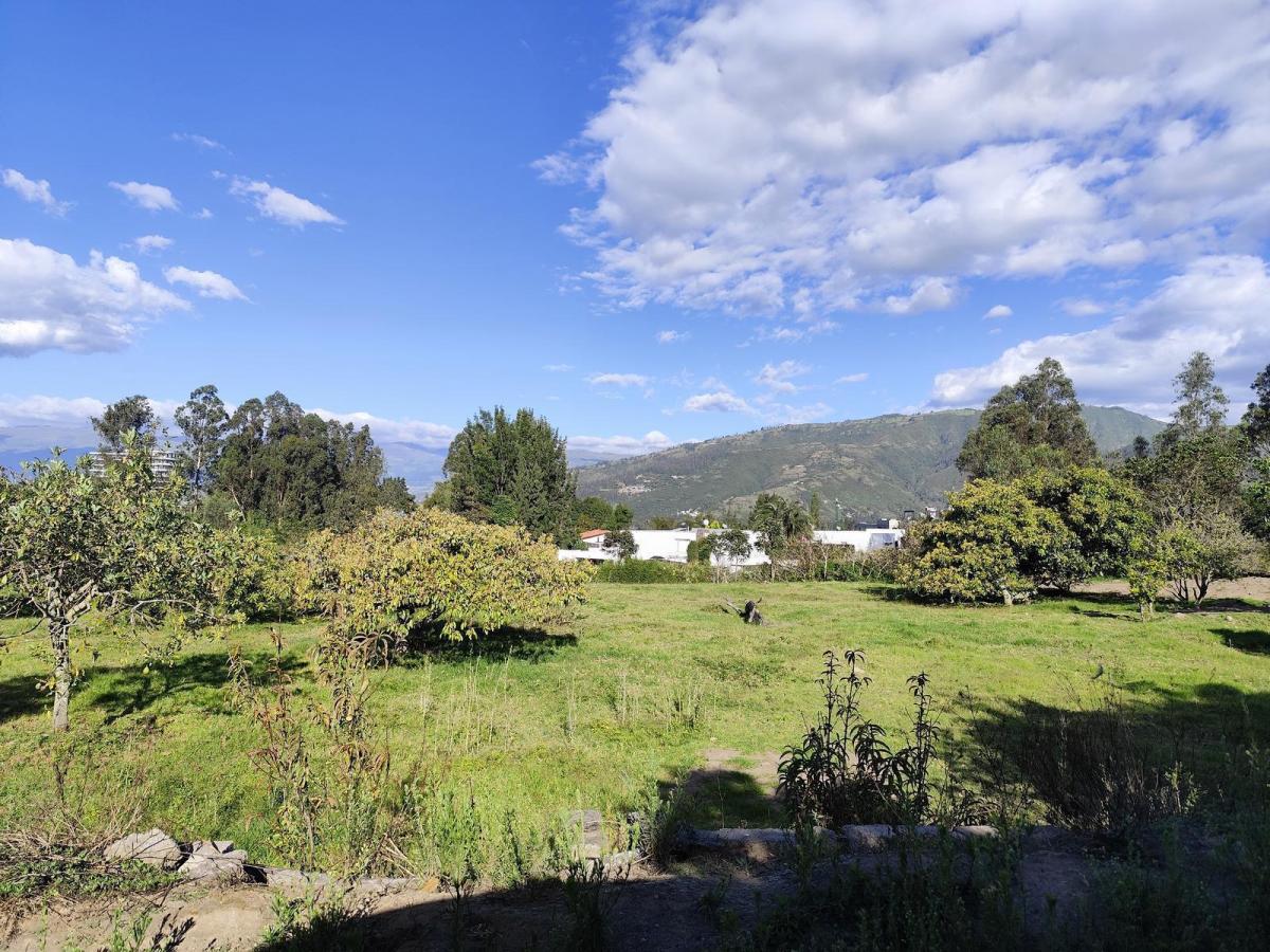 Terreno en Renta en San Francisco de Pinsha, 4.000 m², Ideal Para Turismo, Eventos y Gastronomía — imagen 7