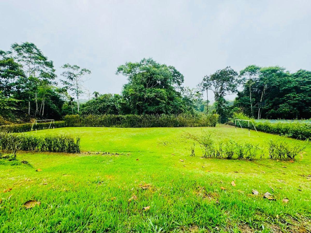 Terreno de 2300 m² en Venta en El Norte de Pedro Vicente Maldonado — imagen 10