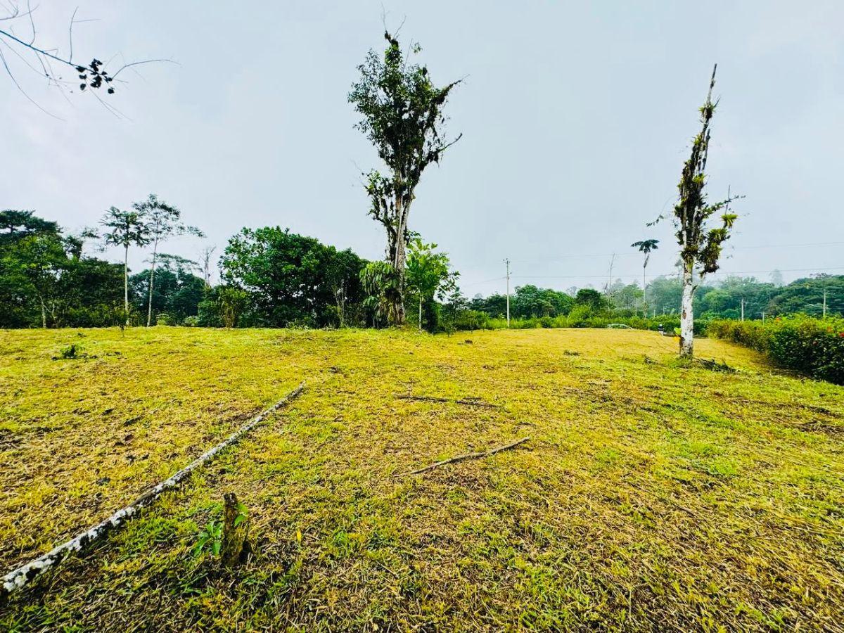 Terreno de 2300 m² en Venta en El Norte de Pedro Vicente Maldonado — imagen 9