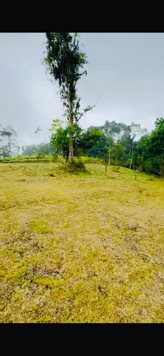 Terreno de 2300 m² en Venta en El Norte de Pedro Vicente Maldonado — imagen 8