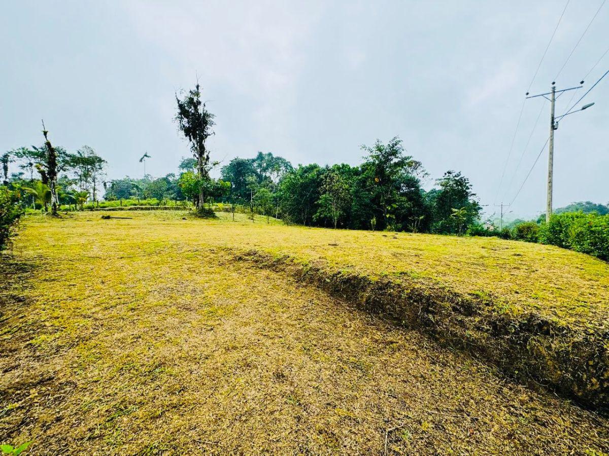 Terreno de 2300 m² en Venta en El Norte de Pedro Vicente Maldonado — imagen 7