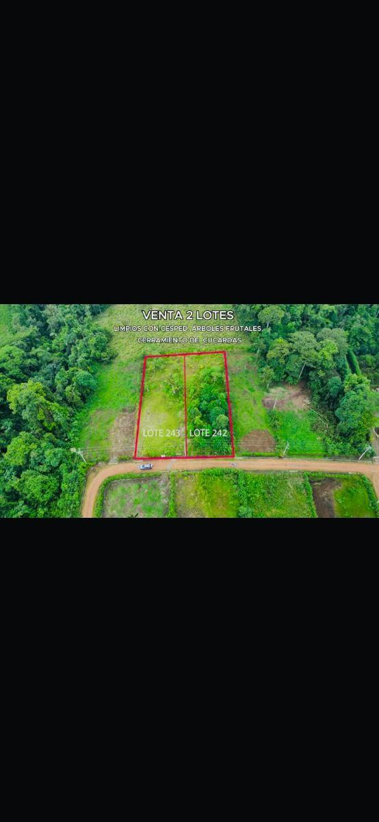 Terreno de 2300 m² en Venta en El Norte de Pedro Vicente Maldonado — imagen 5