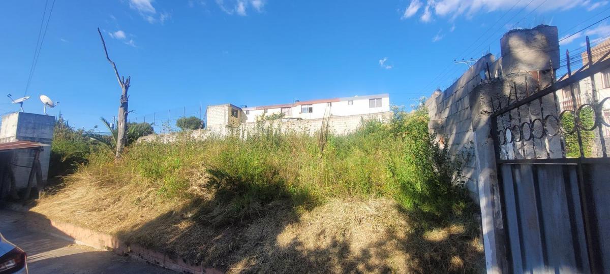 Venta Terreno Calderon San Jose de Moran 1710 m² — imagen 10