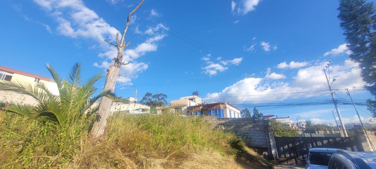 Venta Terreno Calderon San Jose de Moran 1710 m² — imagen 4