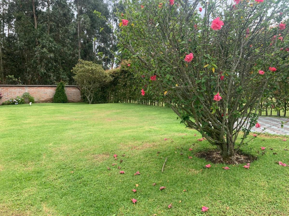 Casa en Venta Sector Pifo Dentro de un Conjunto de 11 Casas 2380 m² de Terreno — imagen 6