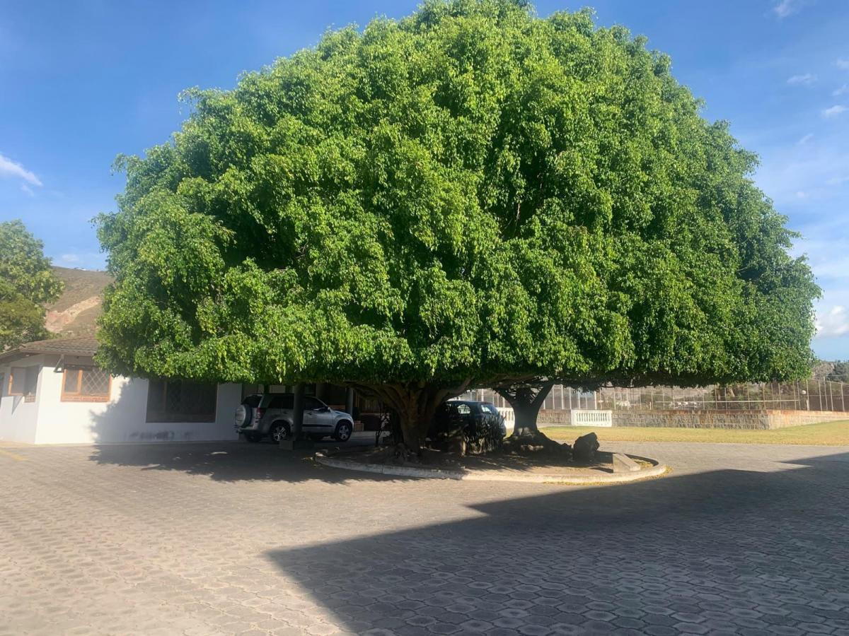 Pomasqui Venta Terreno m — imagen 9